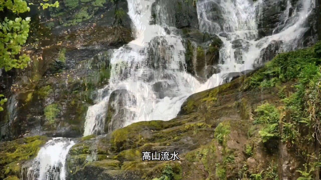 帮主你这是喜脉啊